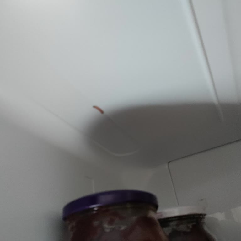 Arçelik Buzdolabımın Arızası Ve Sürekli Geciken Servis Hizmeti Nedeniyle Mağduriyet Yaşıyorum