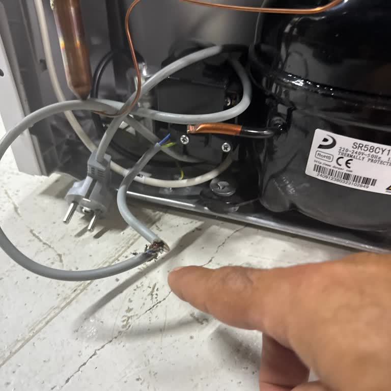 Ayıplı Ürün, İlgisiz Servis: Vestel Mini Buzdolabında Hayal Kırıklığı