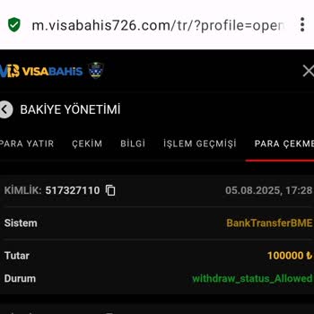 Para Çekme Talebim Günlerdir Hesabıma Yatmadı
