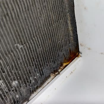 Servis Sonrası Kurutma Makinesi Arızası ve Değişim Talebi