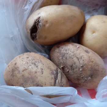 Migros Hemen Siparişimde Çürük Patates Ve Soğan, İade Talebime Dönüş Yok