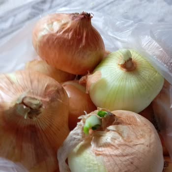 Migros Hemen Siparişimde Çürük Patates Ve Soğan, İade Talebime Dönüş Yok