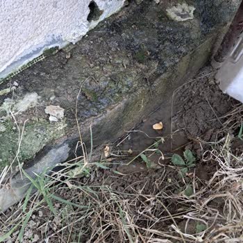 Satın Aldığım Dairede Sürekli Su Sızıntısı Ve Rutubet Sorunu