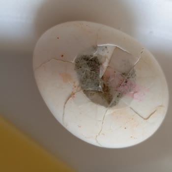 Hastane Yemeklerinde Hijyen Ve Kalite Sorunu