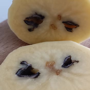 Eki aç