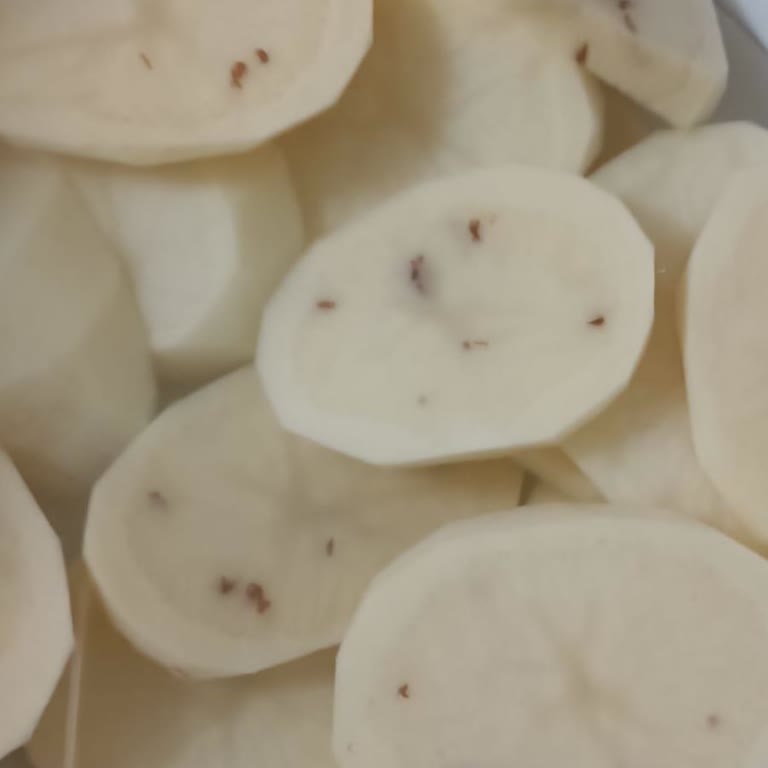 Satın Alınan Ürünlerin Kalitesi Hakkında Şikayet