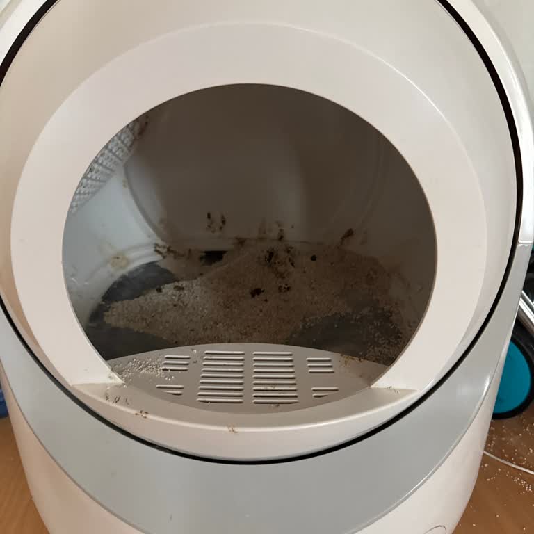 Evasmart Kedi Tuvaleti Arızası!