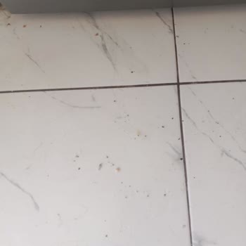 Beko BM4144 Bulaşık Makinesi Sürekli Arızalanıyor, Sorunlar Çözülmüyor