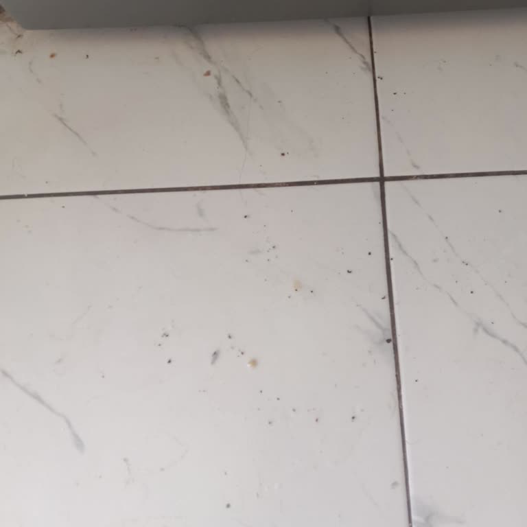 Beko BM4144 Bulaşık Makinesi Sürekli Arızalanıyor, Sorunlar Çözülmüyor