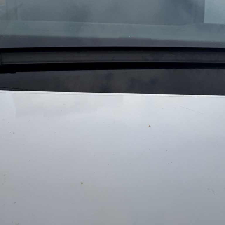 Man TGE 3 180 von 2023 hat Rost und Automatikgetriebeprobleme