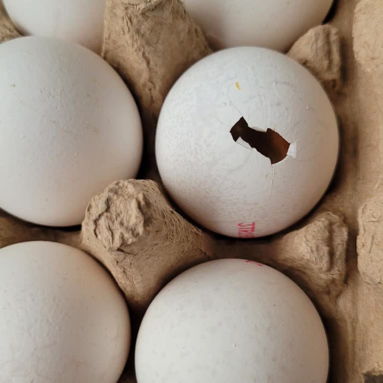 Getir'den Aldığım Yumurtaların Bozuk Çıkması Ve Ürün Değişimi Talebi