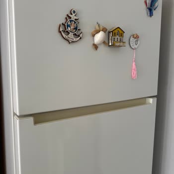 Arçelik Kronik Arızalı Buzdolabı İçin Fahiş Ücret Ve Çözüm Yok!