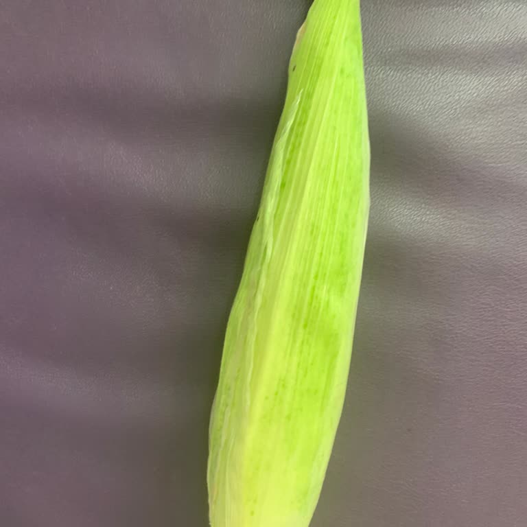 Migros Hemen'den Gelen Küçük Boy Mısır Ve Müşteri Hizmetlerine Ulaşılamıyor