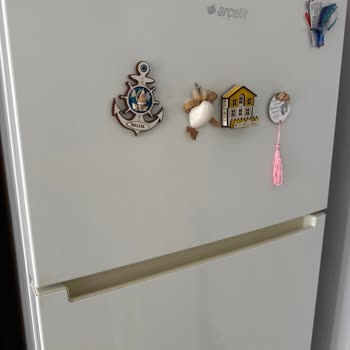 Arçelik Refuses to Replace My Faulty 5231 NHEY Refrigerator for Free