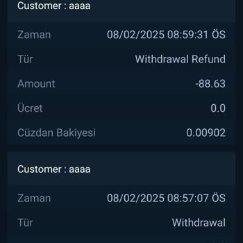 Bitexen Global'de Türevden Spot Hesaba Transferde 88 USDT Kaybı Ve Destek Sorunu