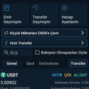 Bitexen Global'de Türevden Spot Hesaba Transferde 88 USDT Kaybı Ve Destek Sorunu