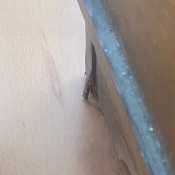 Taşınma Sırasında Eşyalarım Hasar Gördü Firma Çözüm Sunmadı