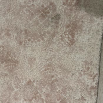Yıkama Sonrası Halılarım Lekeli Ve Zarar Gördü, Mağduriyetim Giderilmiyor