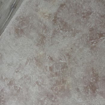 Yıkama Sonrası Halılarım Lekeli Ve Zarar Gördü, Mağduriyetim Giderilmiyor