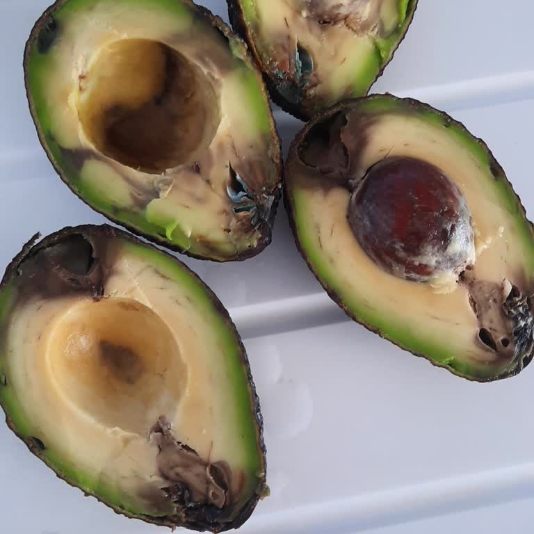 Göcek Macro Center'dan Alınan Bozuk Avokadolar Ve Yoğunluk Nedeniyle Yaşanan Mağduriyet!