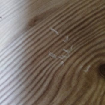 Doğtaş Köşe Koltukta Bitmeyen Servis Sorunları Ve Teslim Edilmeyen Fatura