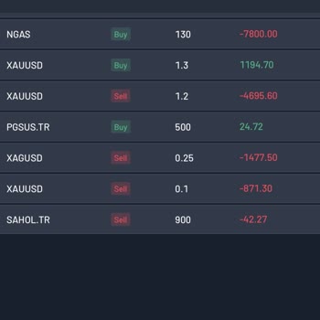 Meksa Investment Yatırım Hesabım Tamamen Online Olarak Ele Geçirildi