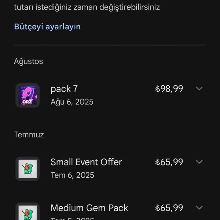 Google Play Store'da Bütçe Ve Harcama Geçmişinin Silinememesi Sorunu