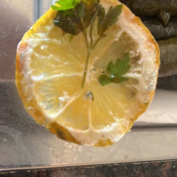 Bozuk Ürün Satışı Ve İade Sorunu: Mağduriyetimin Giderilmesini Talep Ediyorum