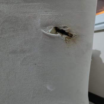 A101 Ve Evdemo'dan Satın Alınan Mobilyalarda Hasar Ve İlgisizlik: Para İadesi Talebim Cevapsız Kaldı