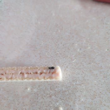 Eti Hoşbeş Gofretin İçinde Siyah Madde Buldum Firma Dönüş Yapmıyor