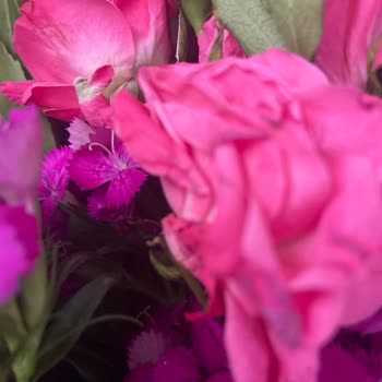 Siparişimde Solmuş Çiçekler Ve Yetersiz Çözüm