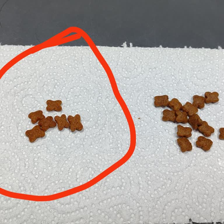 Sahte Kedi Maması Satışı Ve İade Sorunu