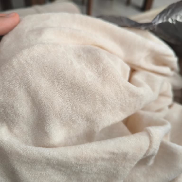 Şahane Home Alakasız Ürün Gönderimi