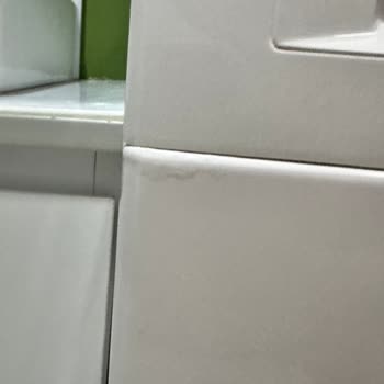 Bosch Çamaşır Makinesinde Deterjan Bölmesi Kabarması Ve Kalıcı Koku Sorunu