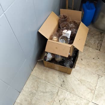 Yemek Hizmetinde Hijyen Sorunları ve Denetim Eksikliği Hakkında Şikayet