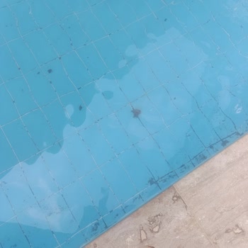 Sun Fire Hotel'de Temizlik Ve Yönetim Krizi: Tatilimiz Zehir Oldu