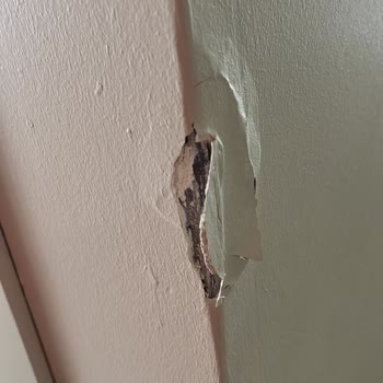 Teslimat Sırasında Oluşan Zararlar Ve Yetersiz Müşteri Hizmetleri Nedeniyle Mağduriyet