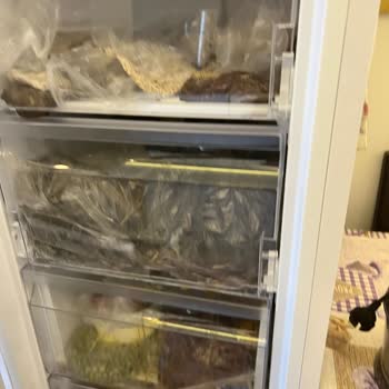 Vestel Derin Dondurucu Arızası: Maddi Zarar Ve Çözüm Eksikliği