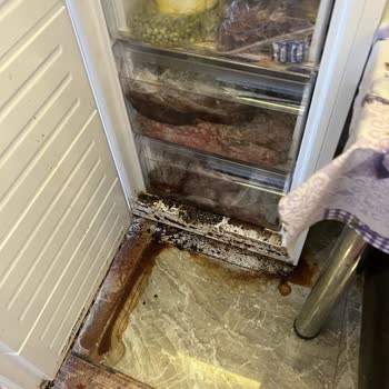 Vestel Derin Dondurucu Arızası: Maddi Zarar Ve Çözüm Eksikliği