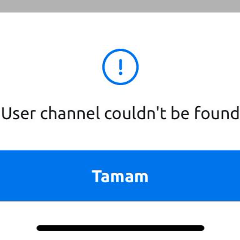 Telefon Numarası Güncelleme Hatası Ve Hesaba Erişim Sorunu