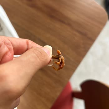 Siparişimde Yabancı Cisim Nedeniyle Sağlığım Tehlikeye Girdi