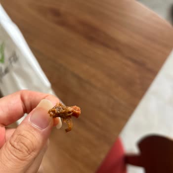Siparişimde Yabancı Cisim Nedeniyle Sağlığım Tehlikeye Girdi