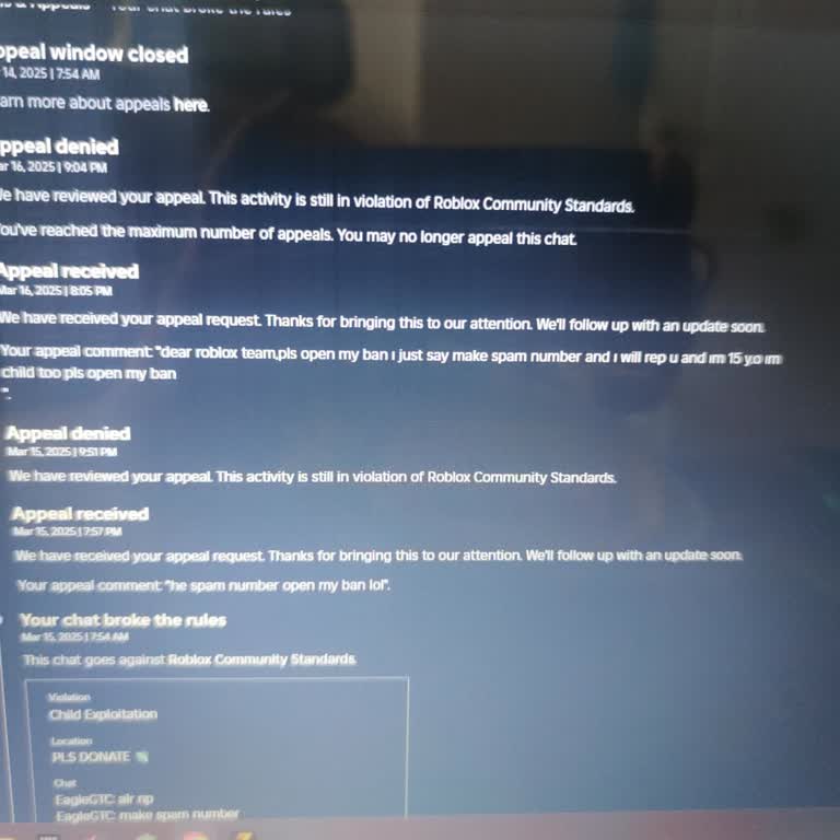 Roblox'ta Haksız Kalıcı Ban Ve Destek Ekibinden Olumsuz Yanıt