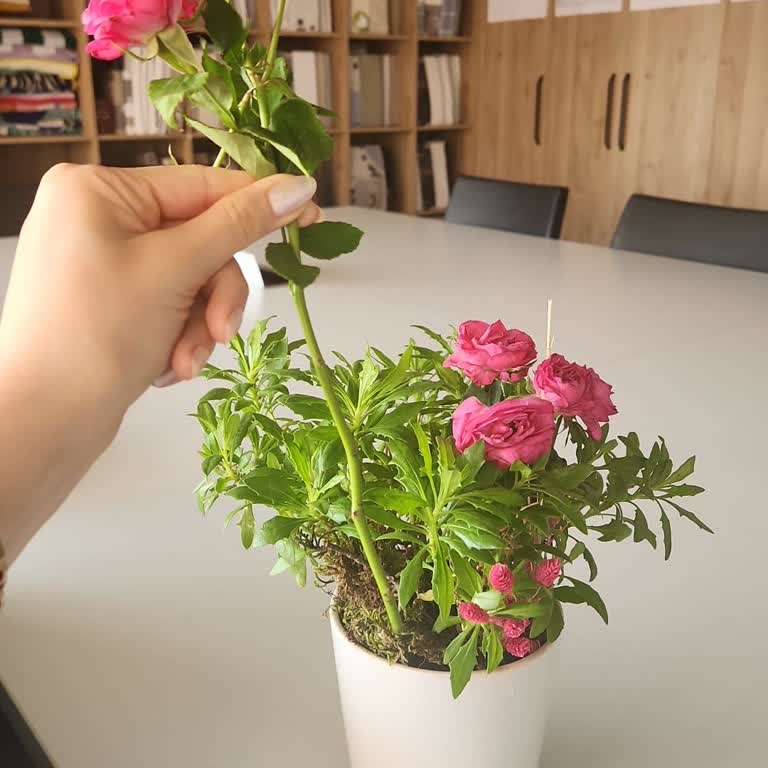 Yanlış Ve Cansız Çiçek Gönderimi, Yetersiz Çözüm Teklifiyle Mağduriyet