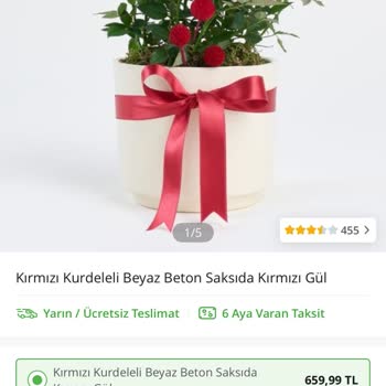 Yanlış Ve Cansız Çiçek Gönderimi, Yetersiz Çözüm Teklifiyle Mağduriyet