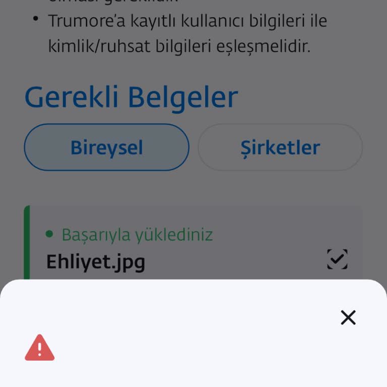 Togg Trumore Uygulamasında Şasi Eklenemiyor, Destek Alınamıyor