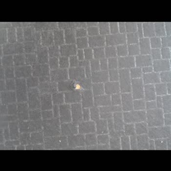 Teslim Edilmeyen Ürünler Ve İade Sorunu Nedeniyle Mağduriyet