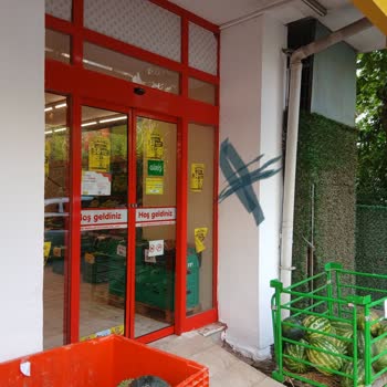 Kayıp Kedi İlanlarım Şok Market Tarafından İzinsiz Kaldırıldı: Açıklama Ve Özür Bekliyorum