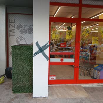 Kayıp Kedi İlanlarım Şok Market Tarafından İzinsiz Kaldırıldı: Açıklama Ve Özür Bekliyorum