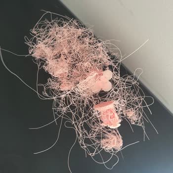 Aldığım Filamentler Sürekli Kopuyor Ve Cihazıma Zarar Veriyor